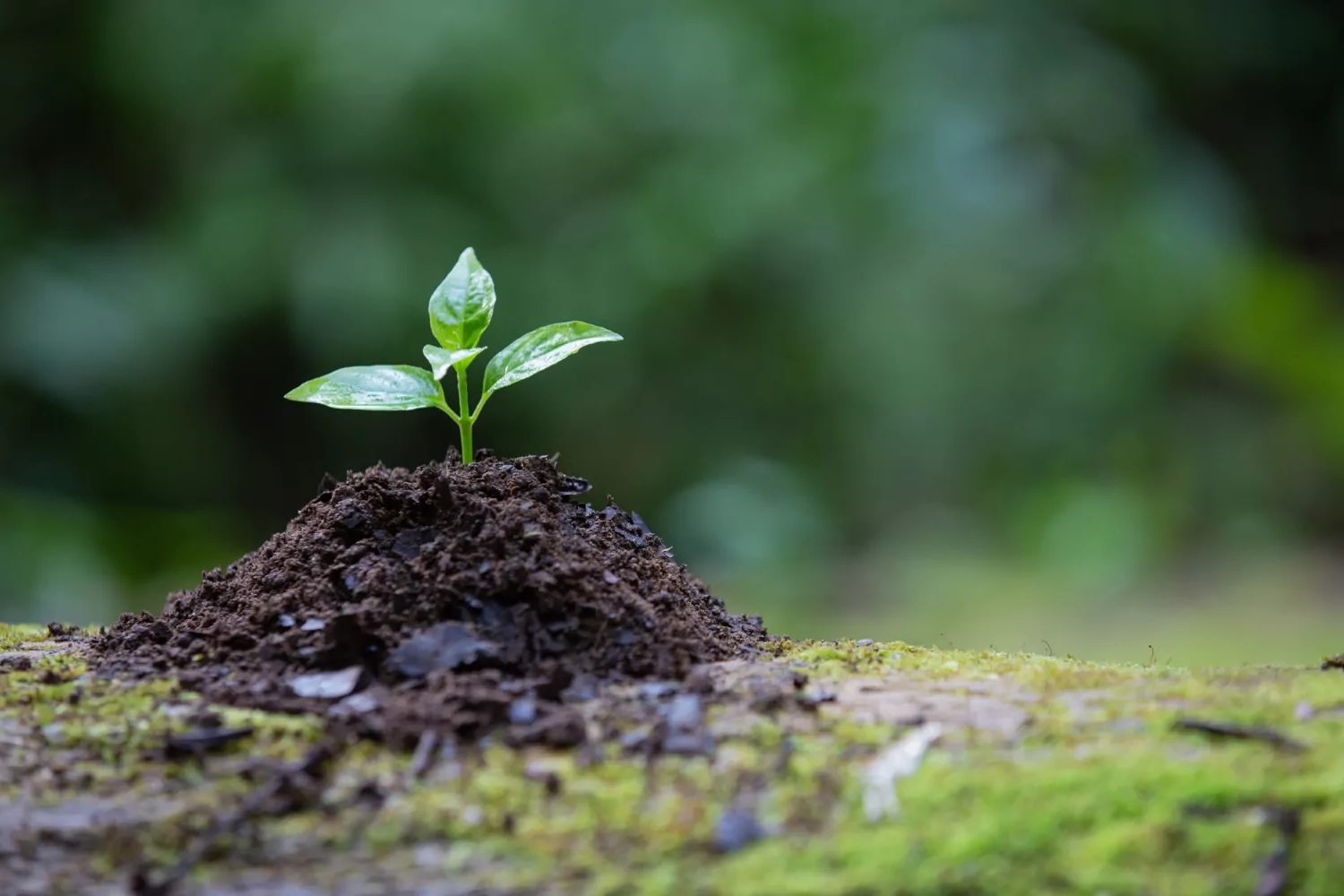34 Facts About Conservation