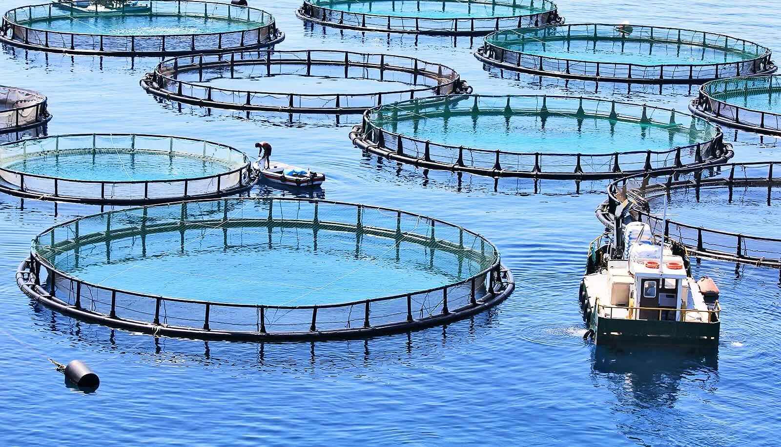 39 Facts About Aquaculture