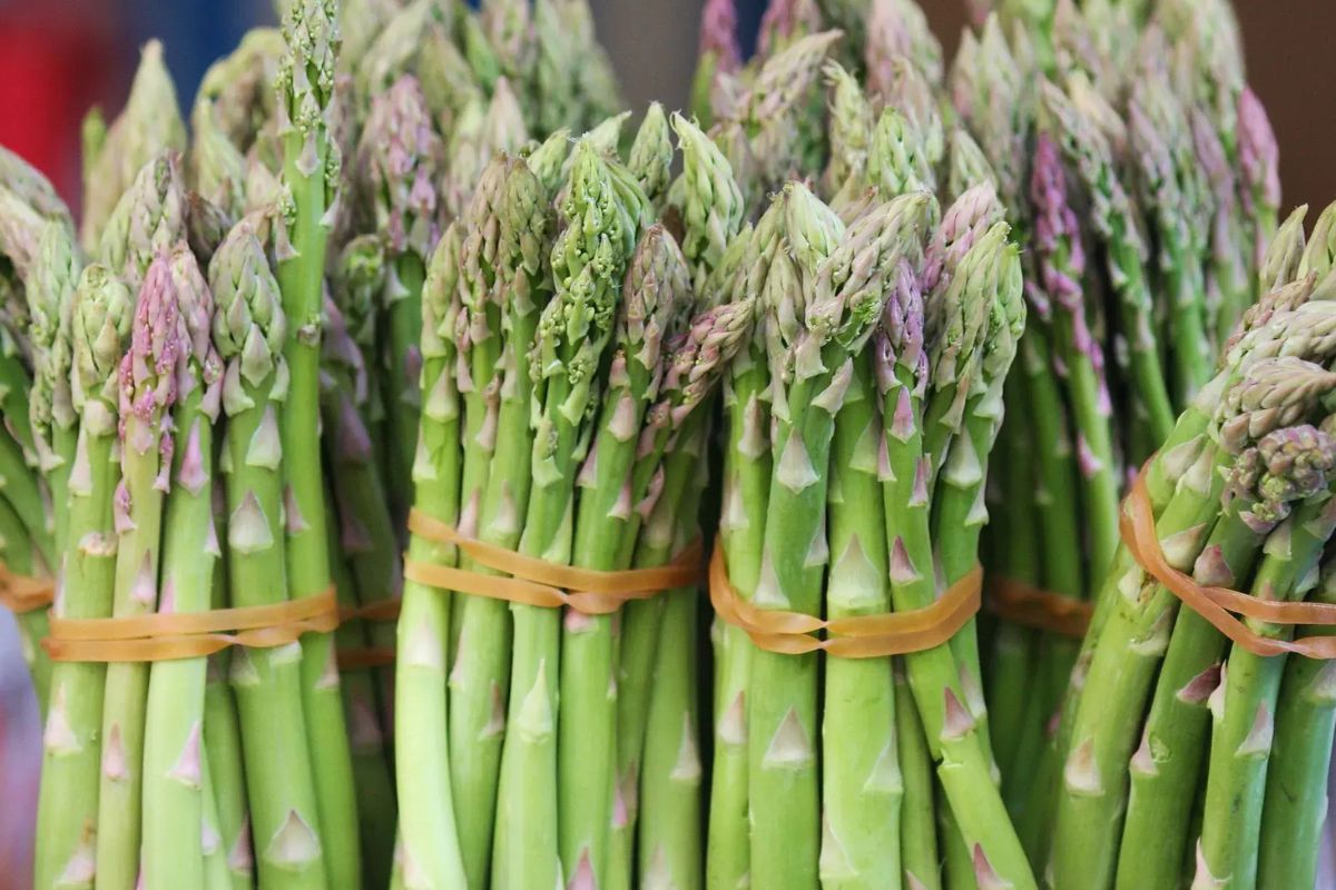 38 Facts About Asparagus