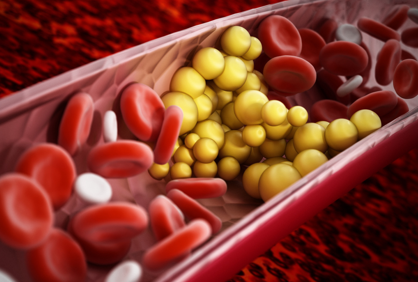 34 Facts About Triglycerides