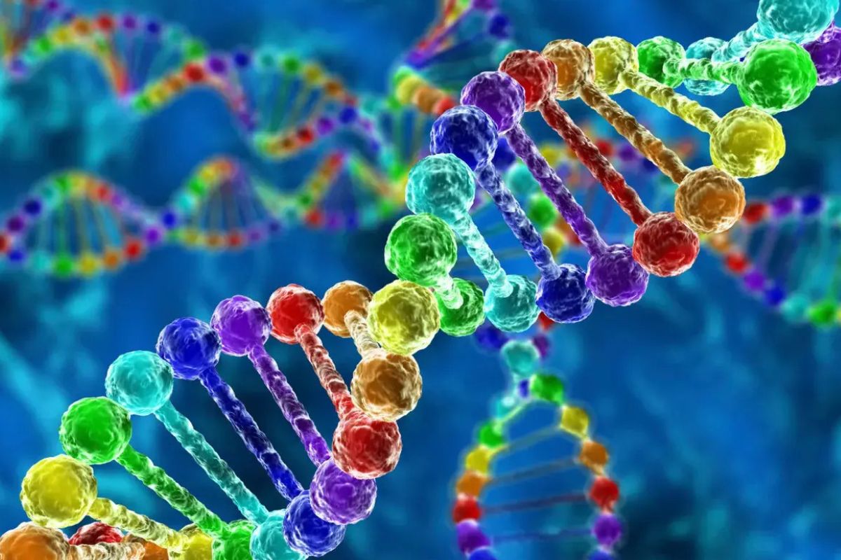 36 Facts About DNA