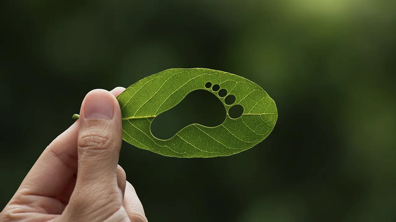 26 Facts About Carbon Footprint