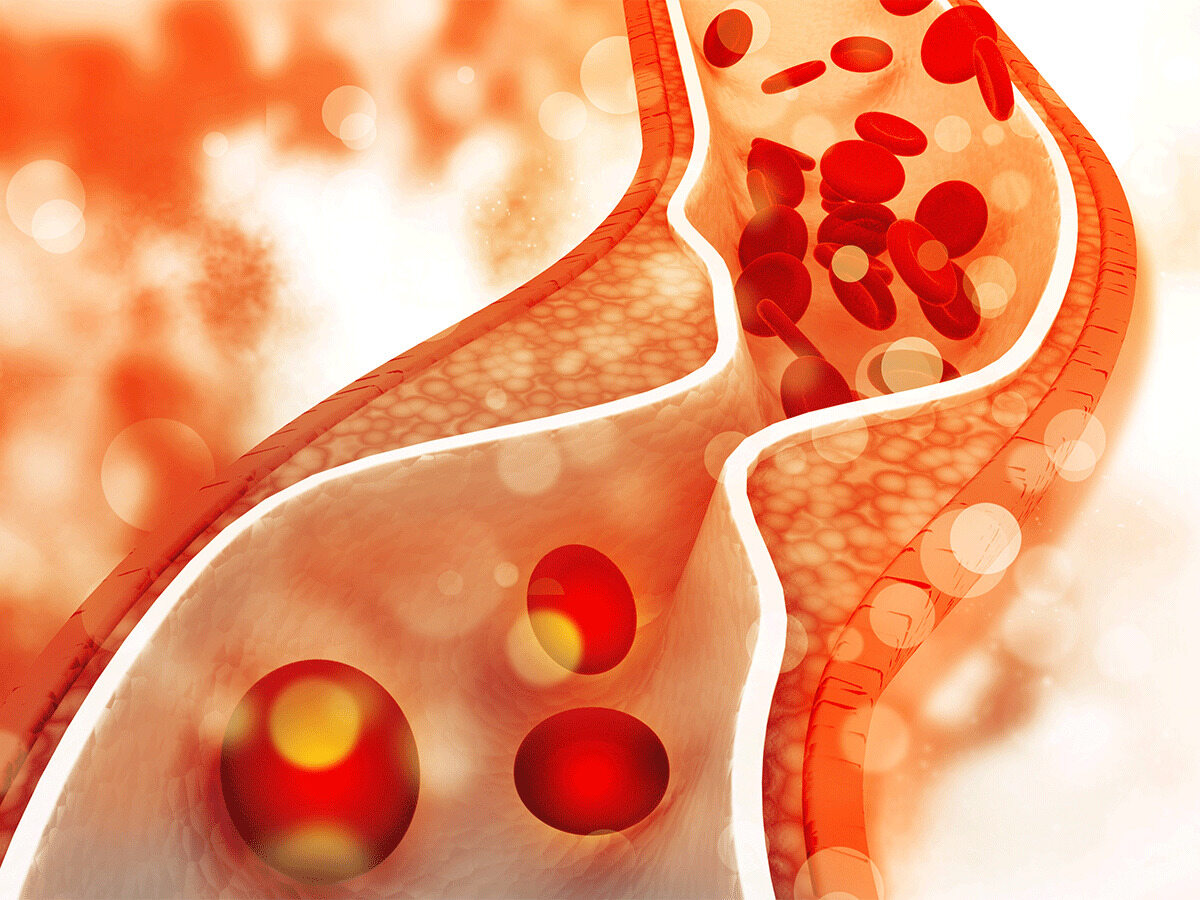 31 Facts About Cholesterol