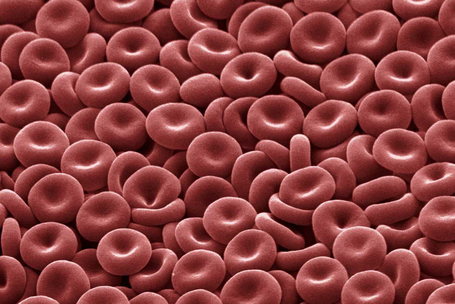 39 Facts About Plasma