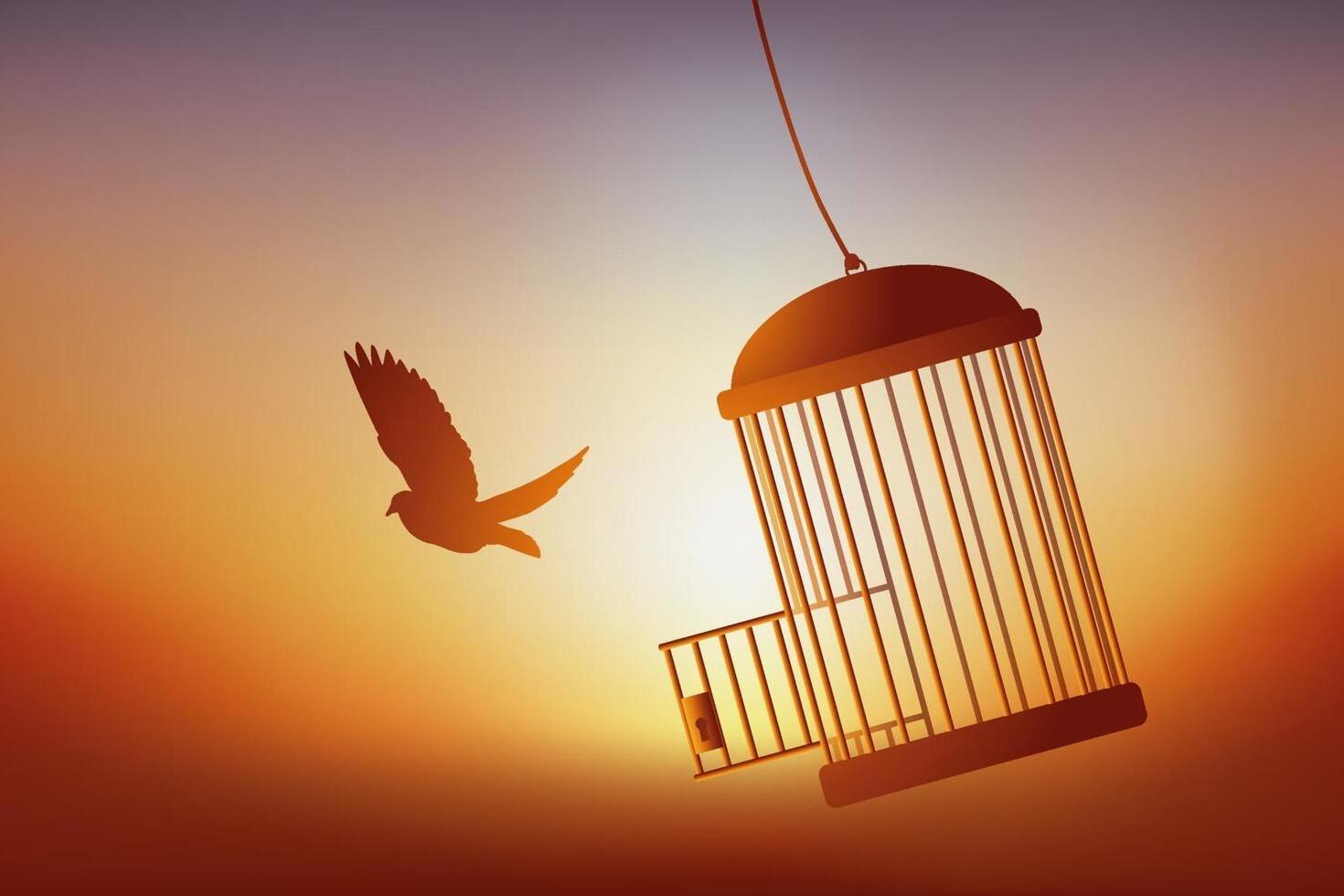 27 Facts About Freedom