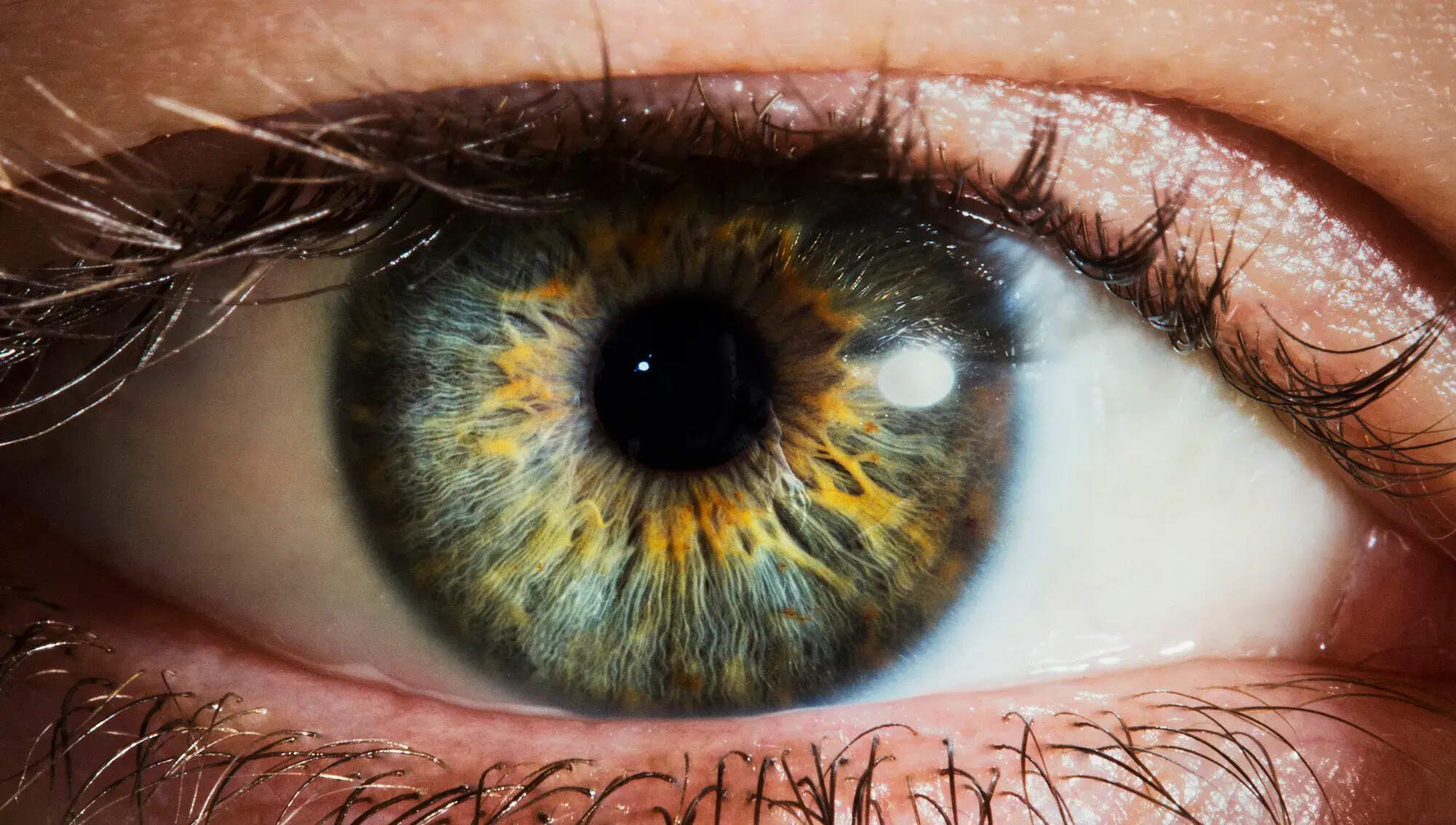 31 Facts About Eye