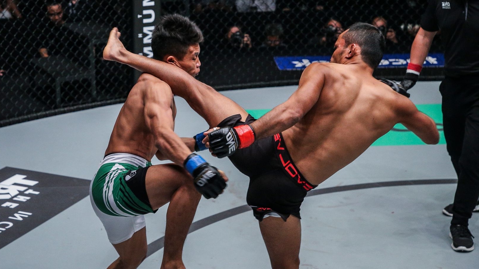 38 Facts About Muay Thai