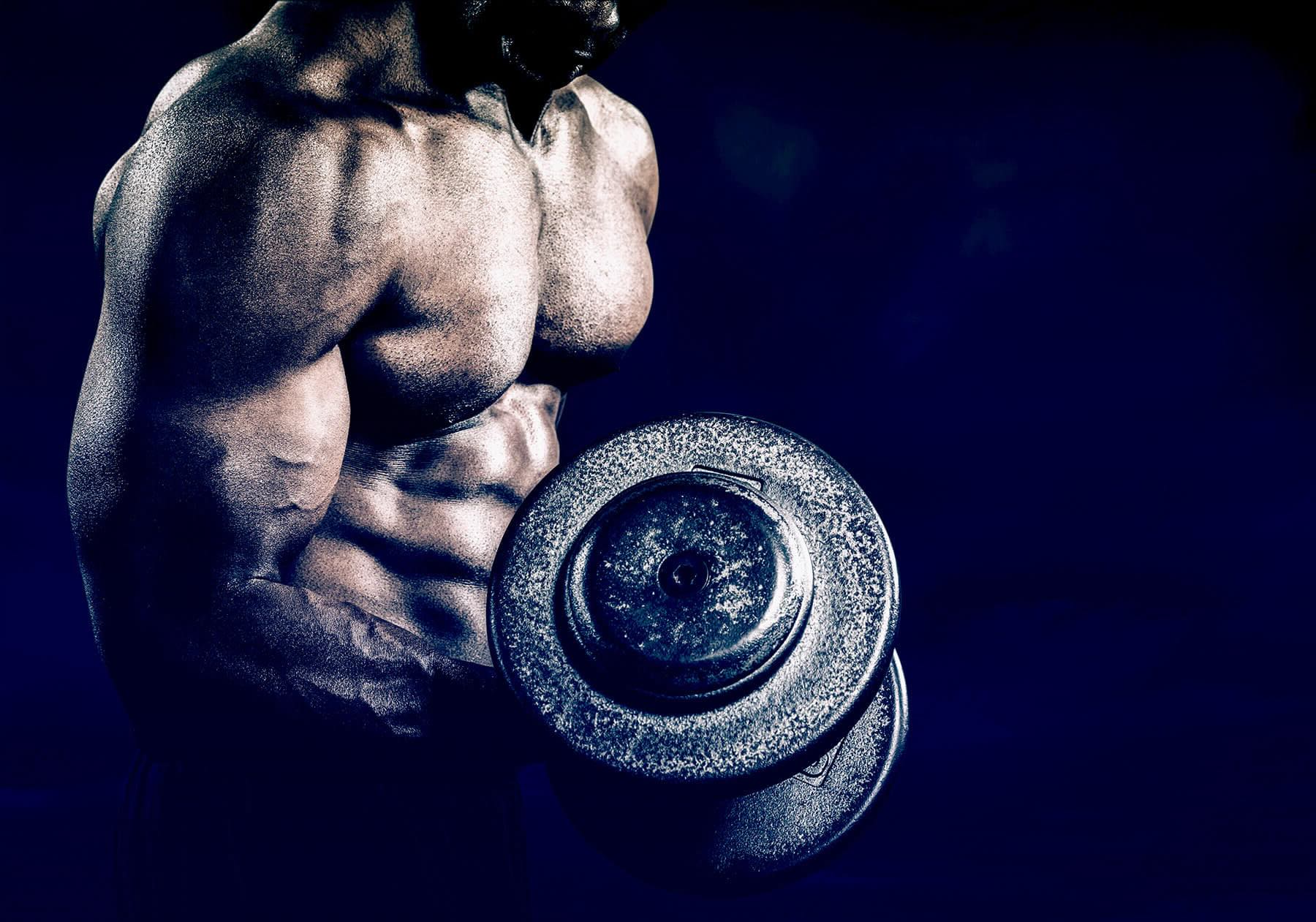 35 Facts About Bodybuilding