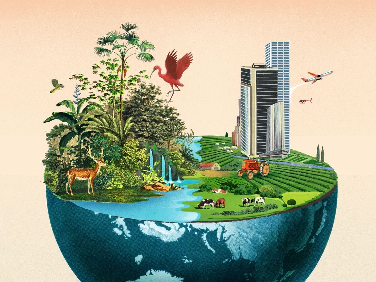 32 Facts About Biodiversity