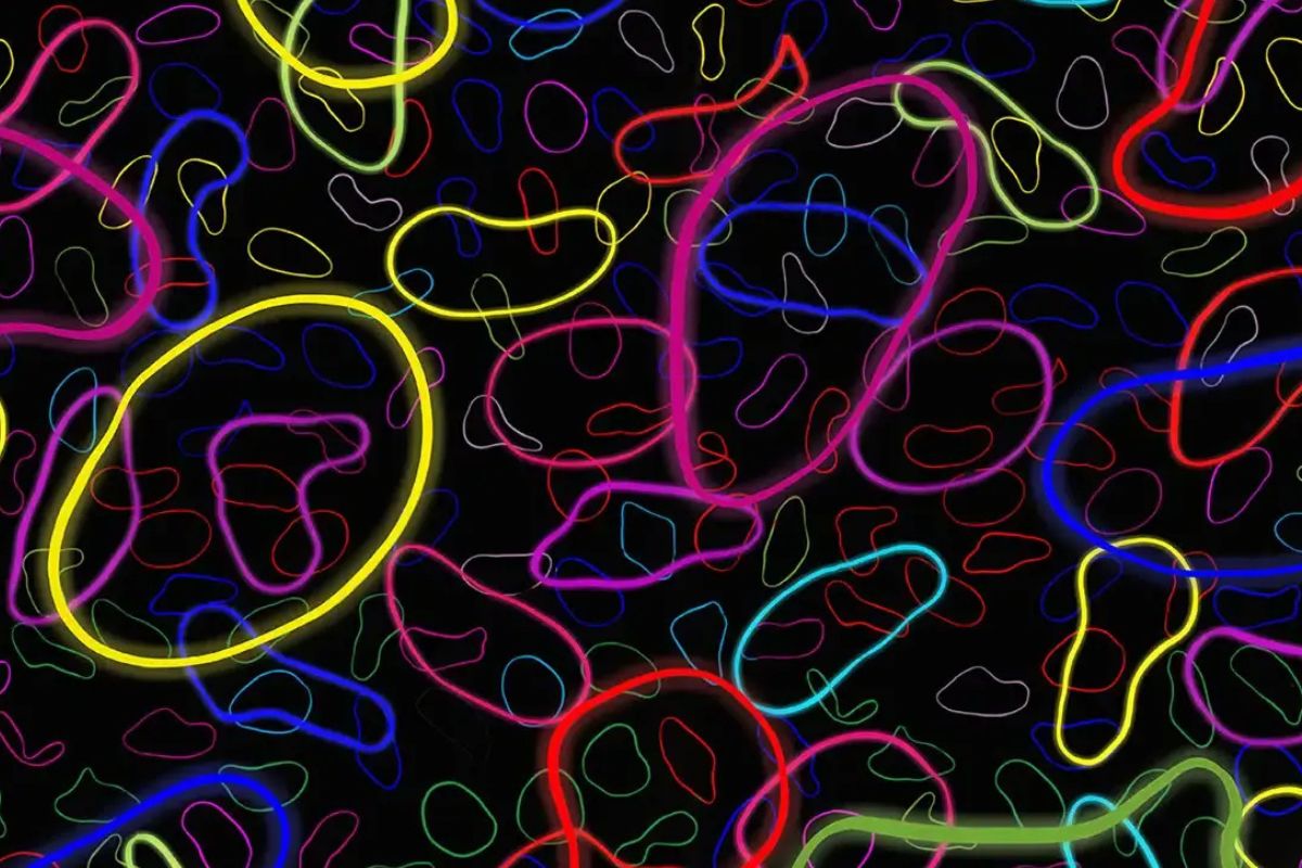 40 Facts About String Theory