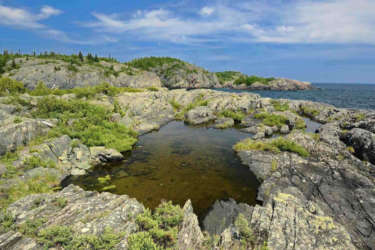 37 Facts About Biomes