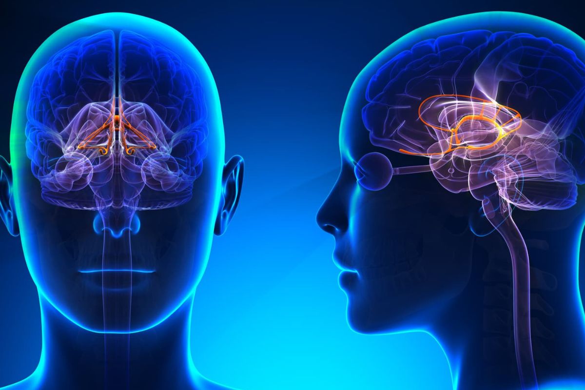25 Facts About Serotonin