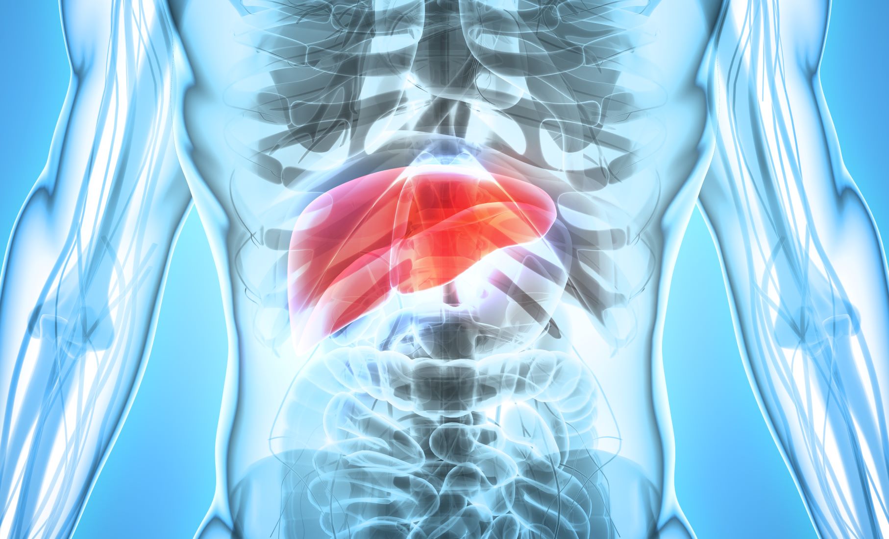 35 Facts About Liver