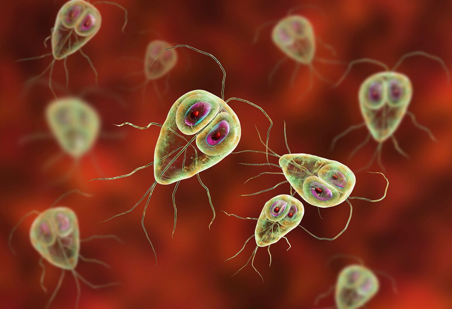 32 Facts About Parasite