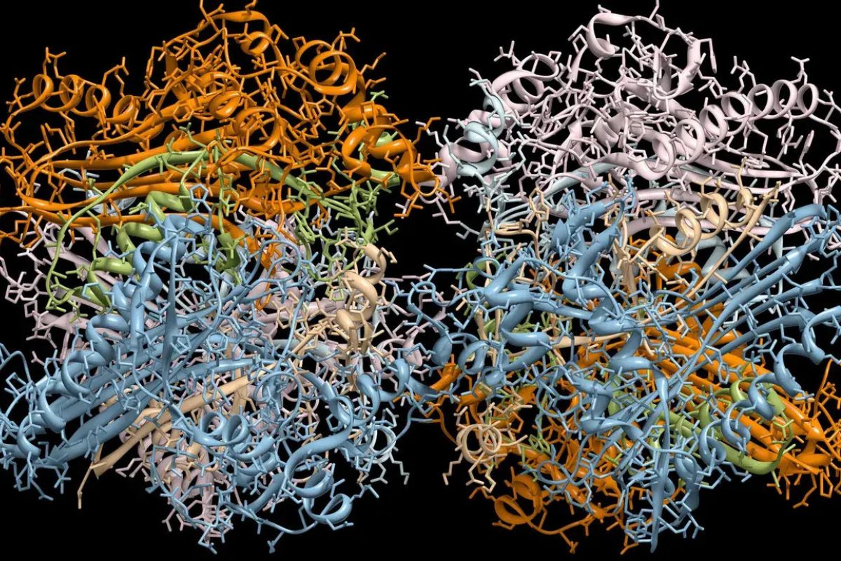 33 Facts About Protein