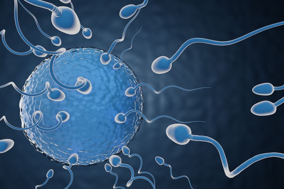 31 Facts About Egg