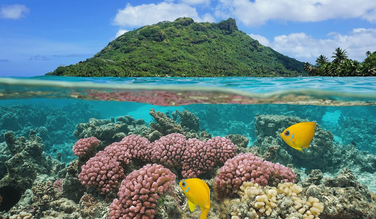28 Facts About Ecosystems
