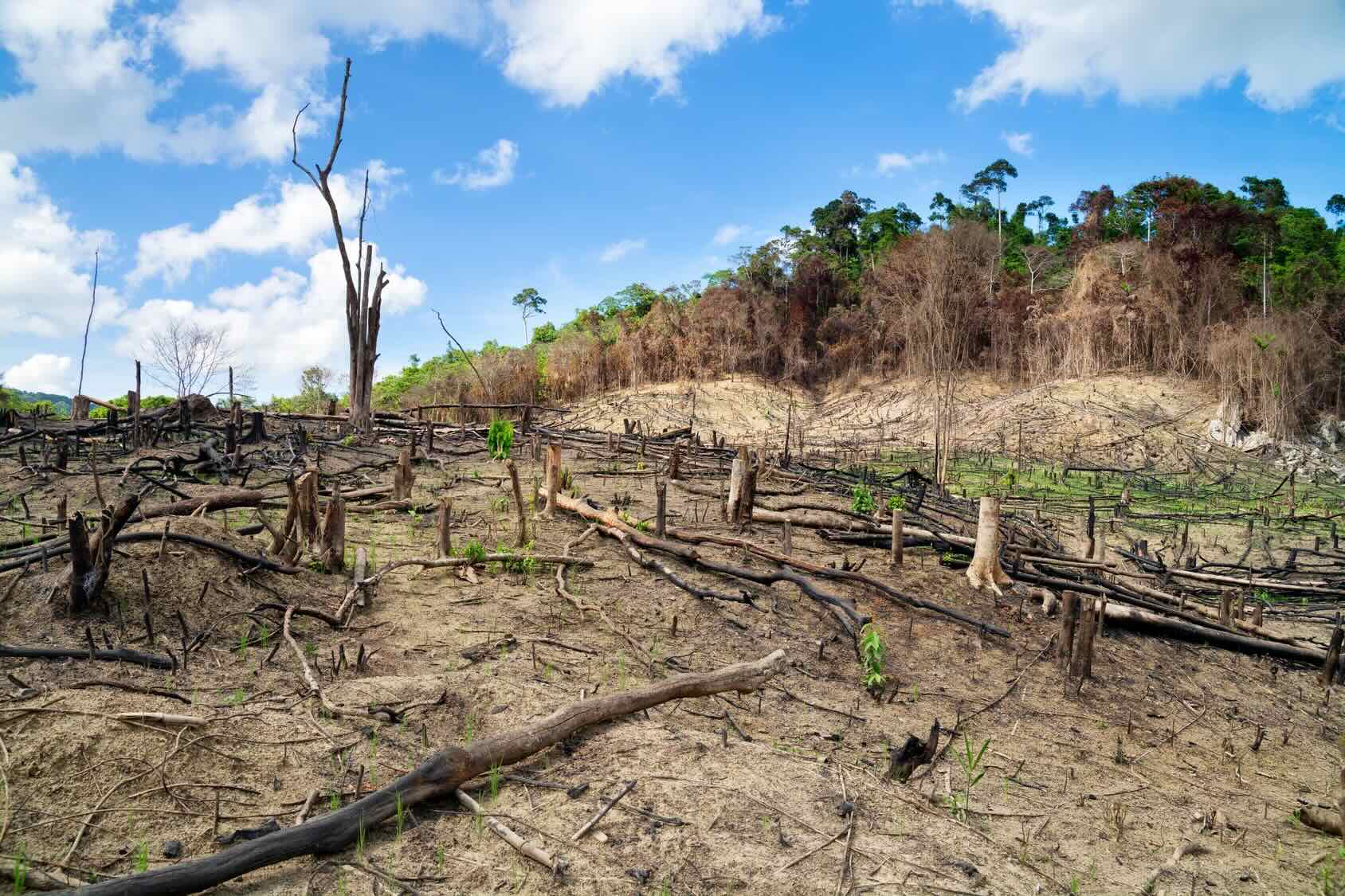 29 Facts About Desertification