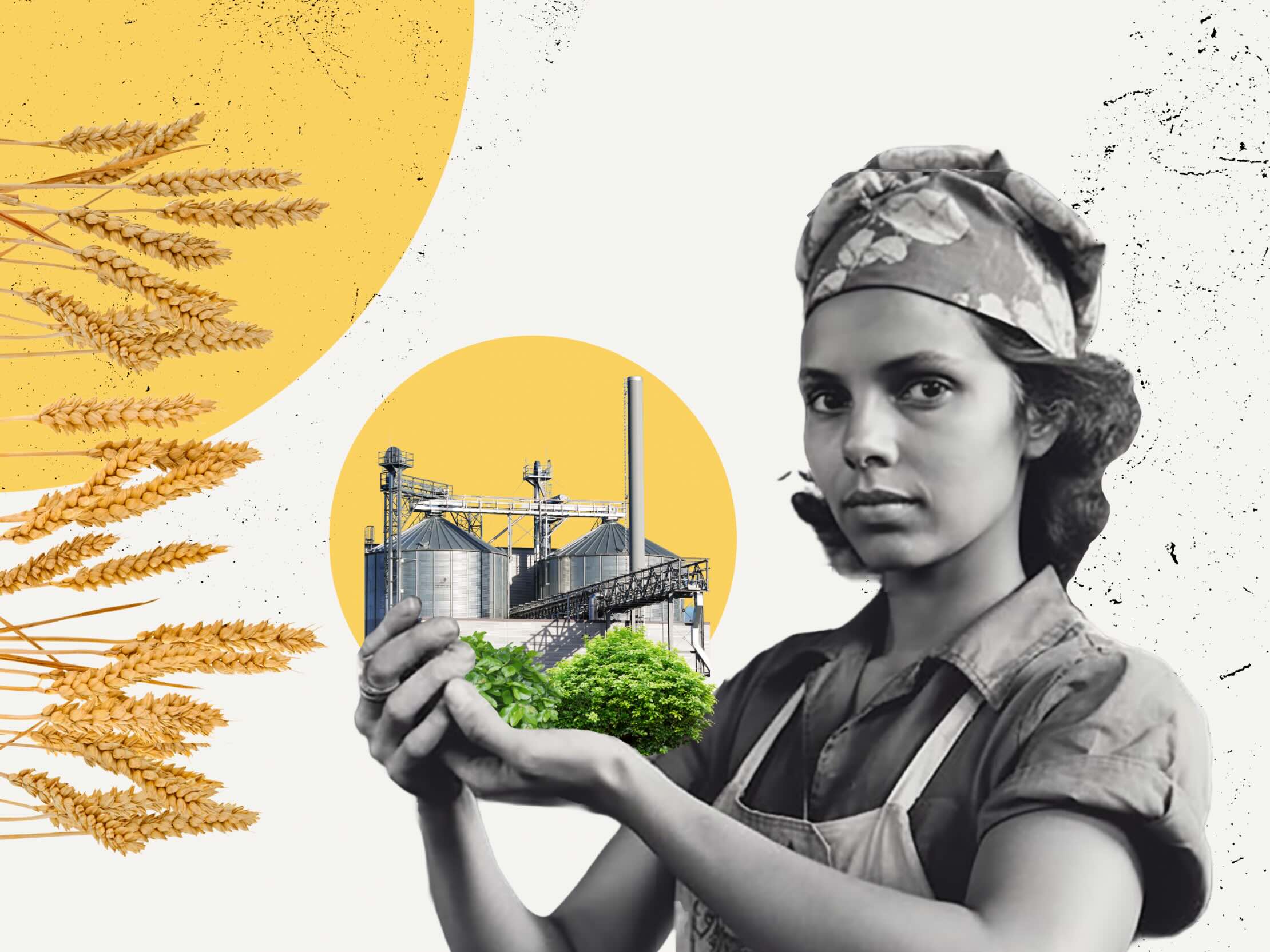 34 Facts About Circular Economy