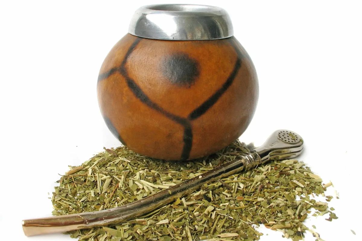 26 Facts About Yerba Mate
