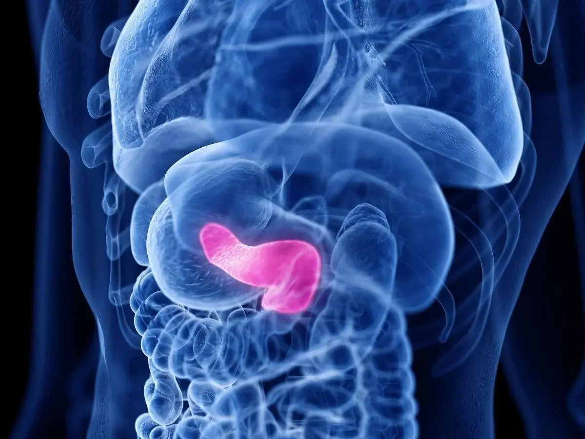 30 Facts About Pancreas