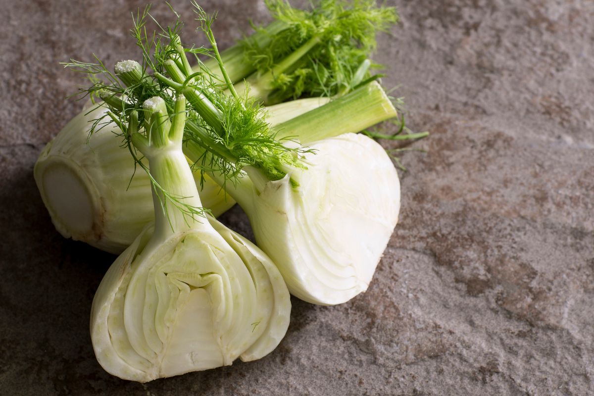 34 Facts About Fennel