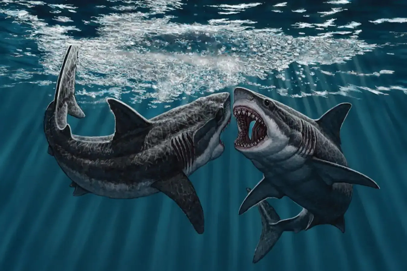 33 Facts About Megalodon