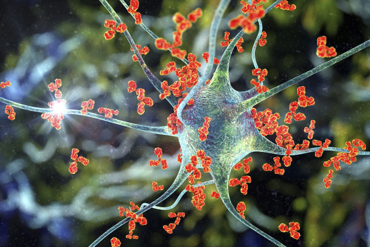 36 Facts About Autoimmune Disease