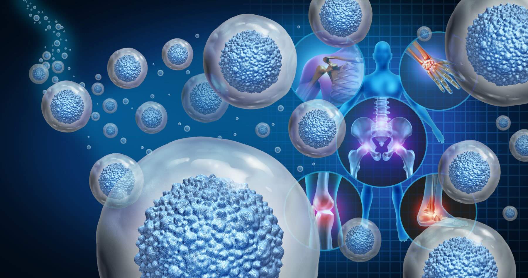 35 Facts About Regenerative Medicine