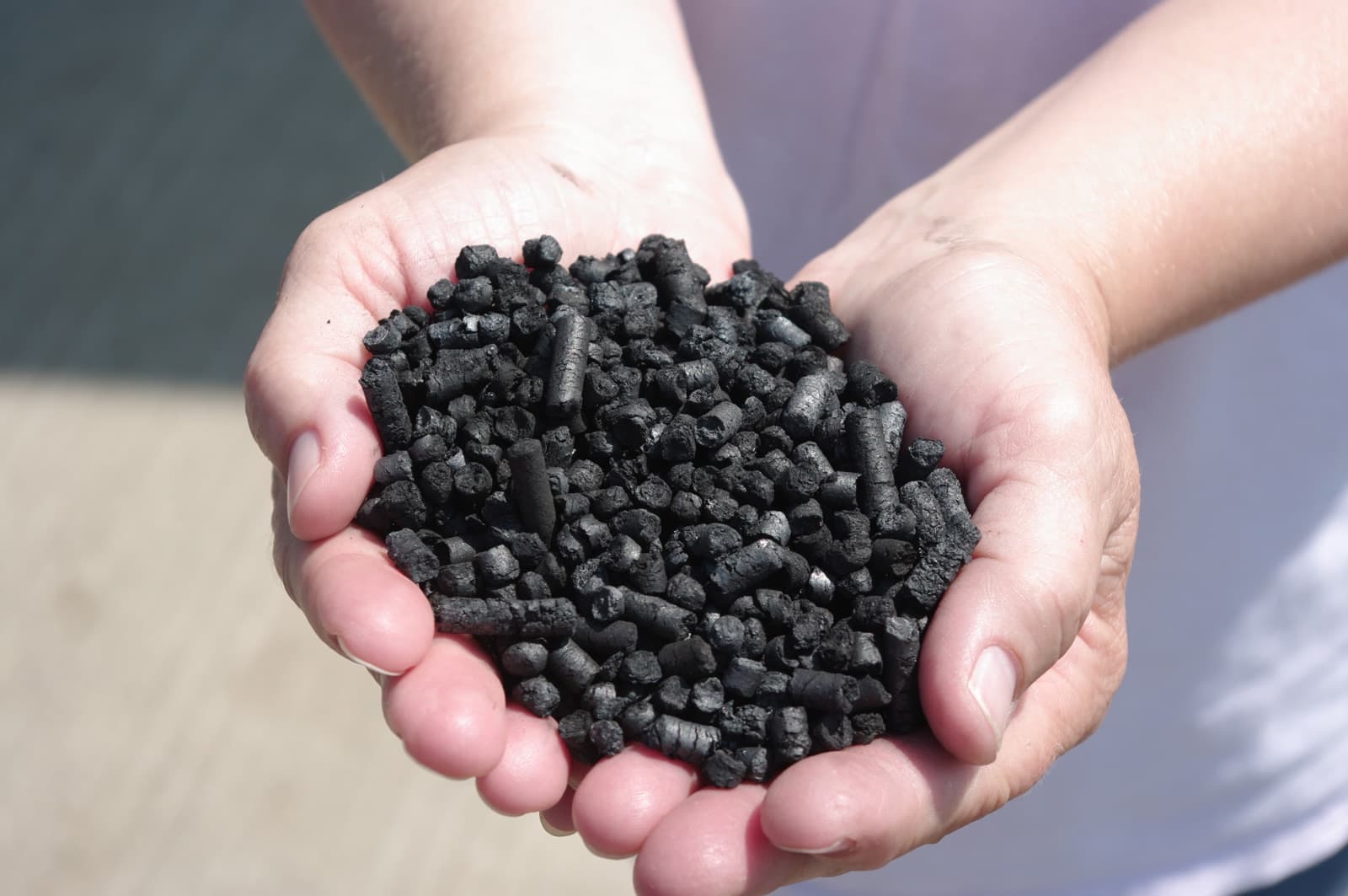 30 Facts About Biochar