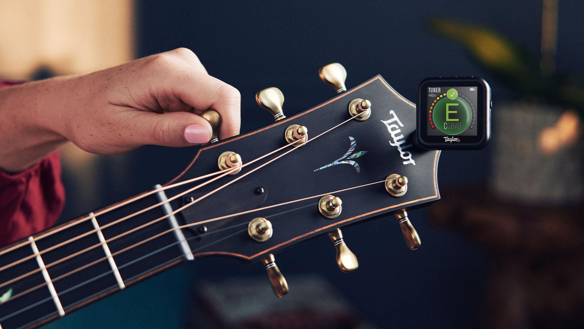 38 Facts About Guitar Tuner
