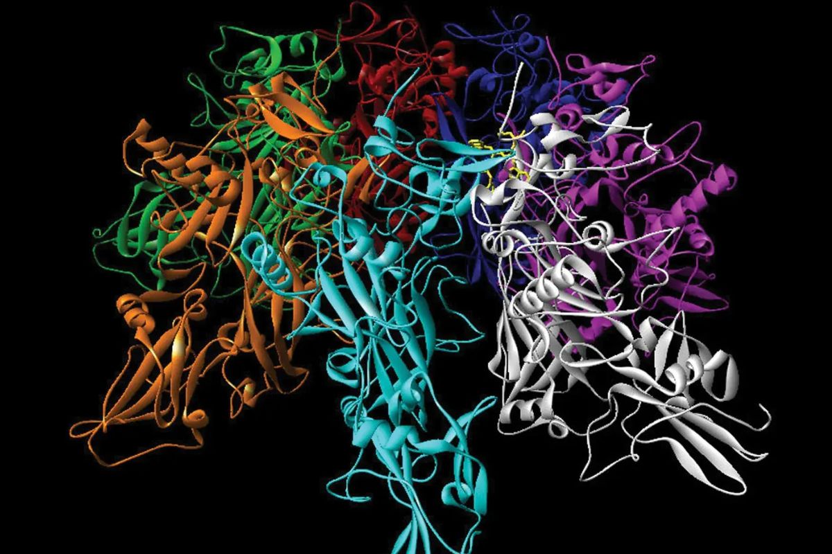 40 Facts About Bioinformatics