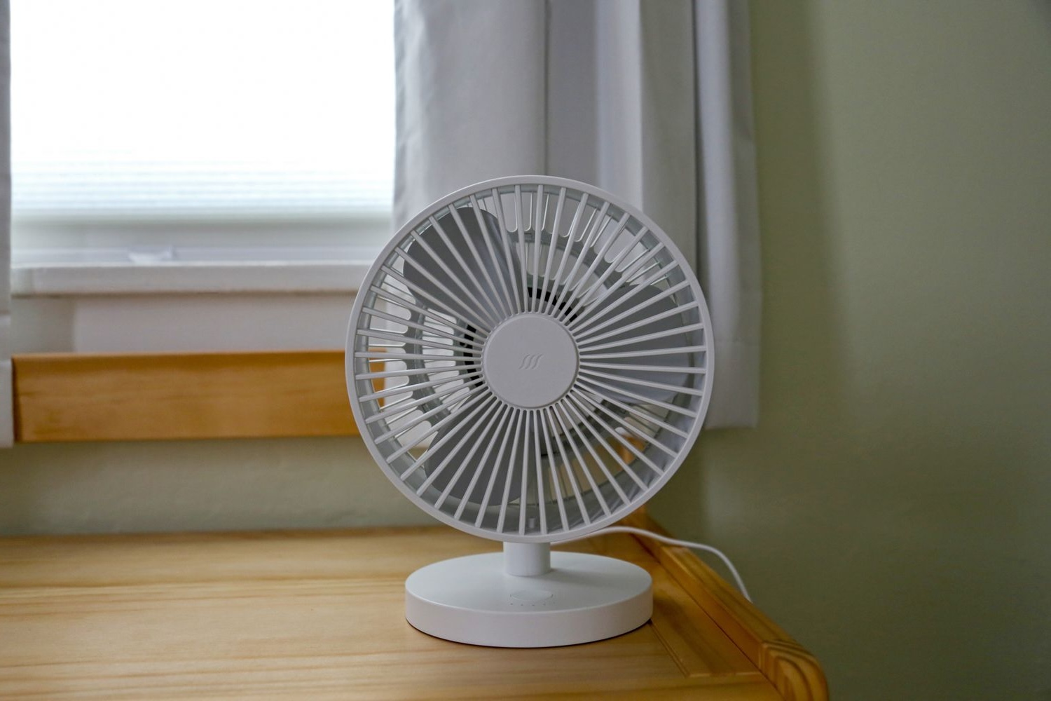 29 Facts About Fan