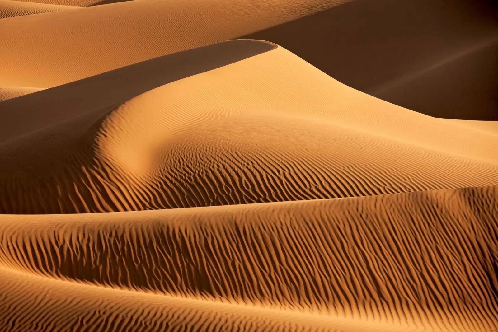 37 Facts About Sand Dunes