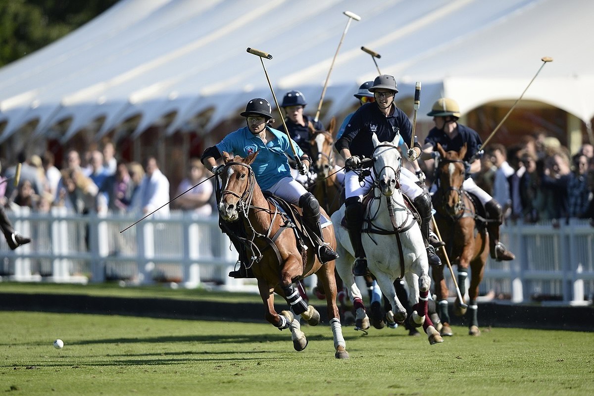 39 Facts About Polo