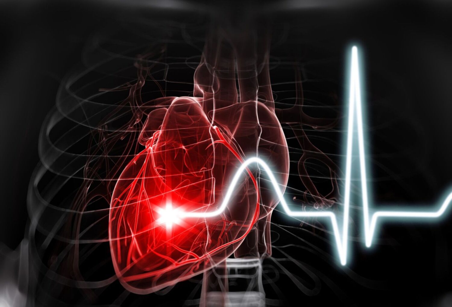 25 Facts About Heart