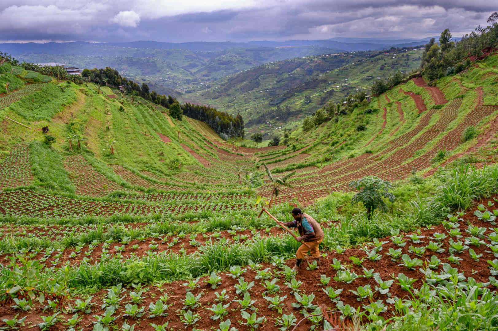 32 Facts About Rwandan Genocide