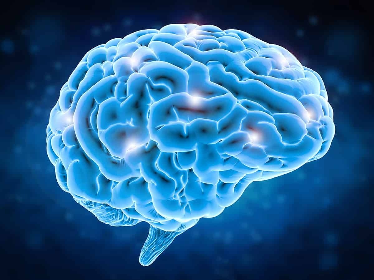 33 Facts About Brain