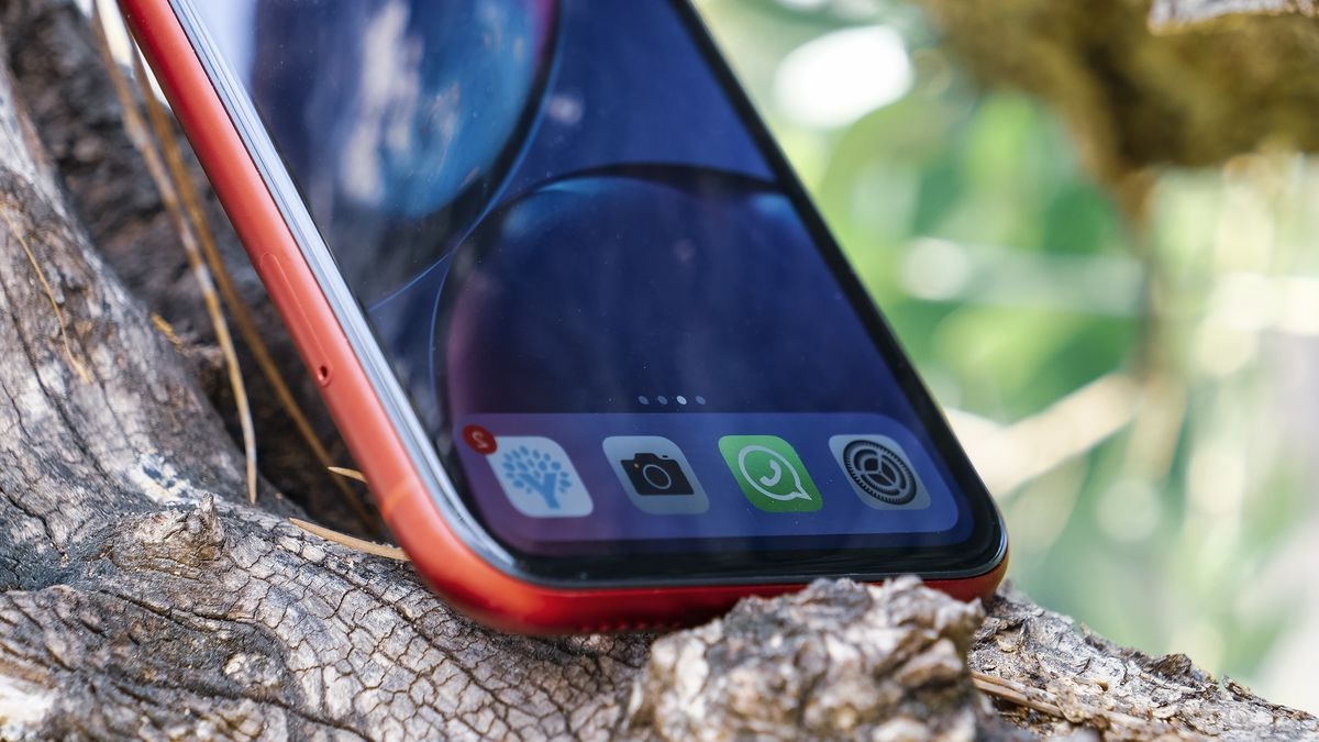 33 Facts About IPhone XR