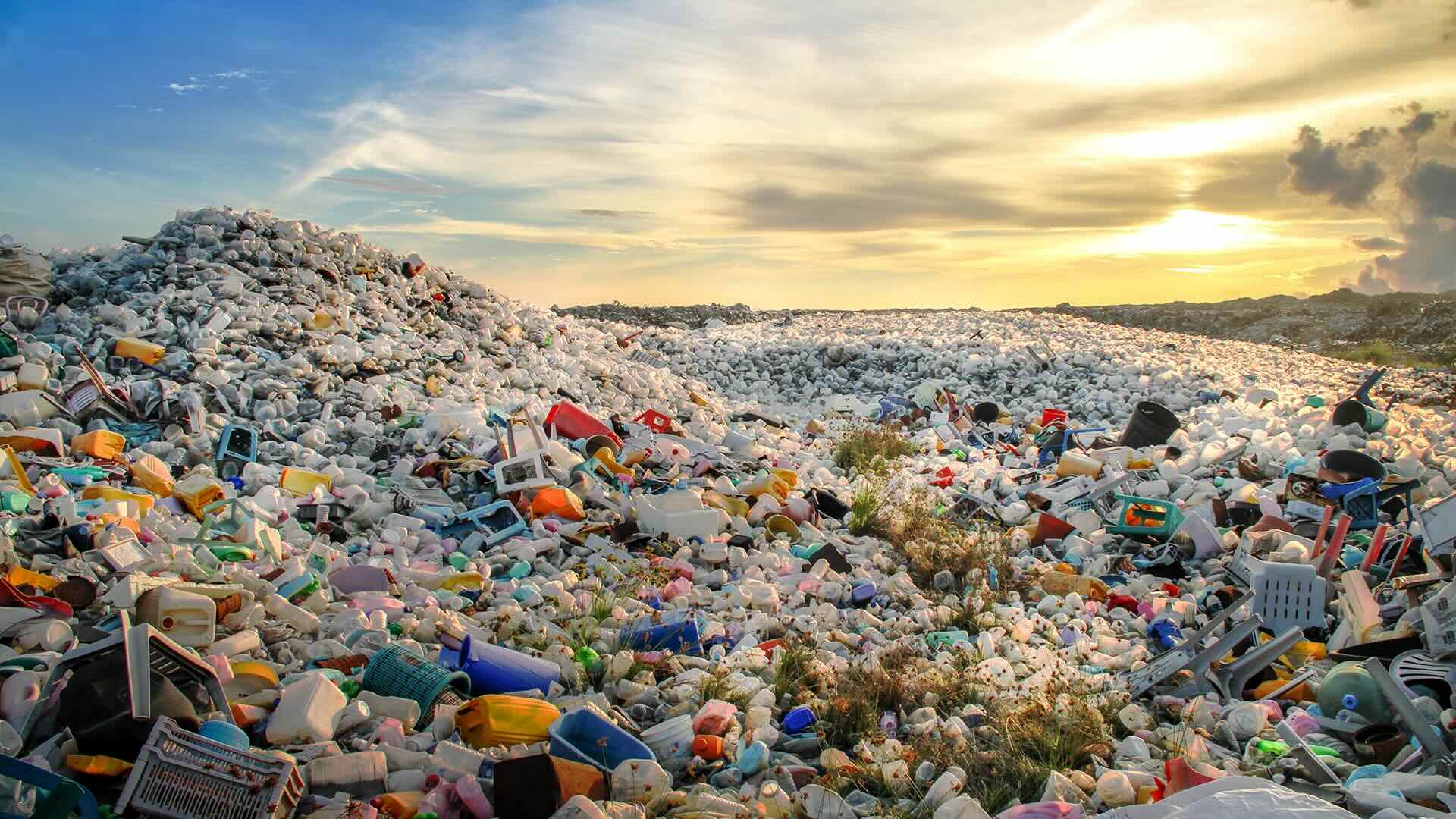 33 Facts About Waste Management